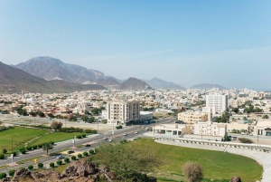 Depuis Dubaï : Visite de la côte est de Fujairah