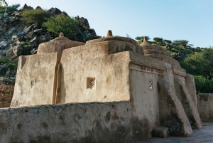 Depuis Dubaï : Visite de la côte est de Fujairah