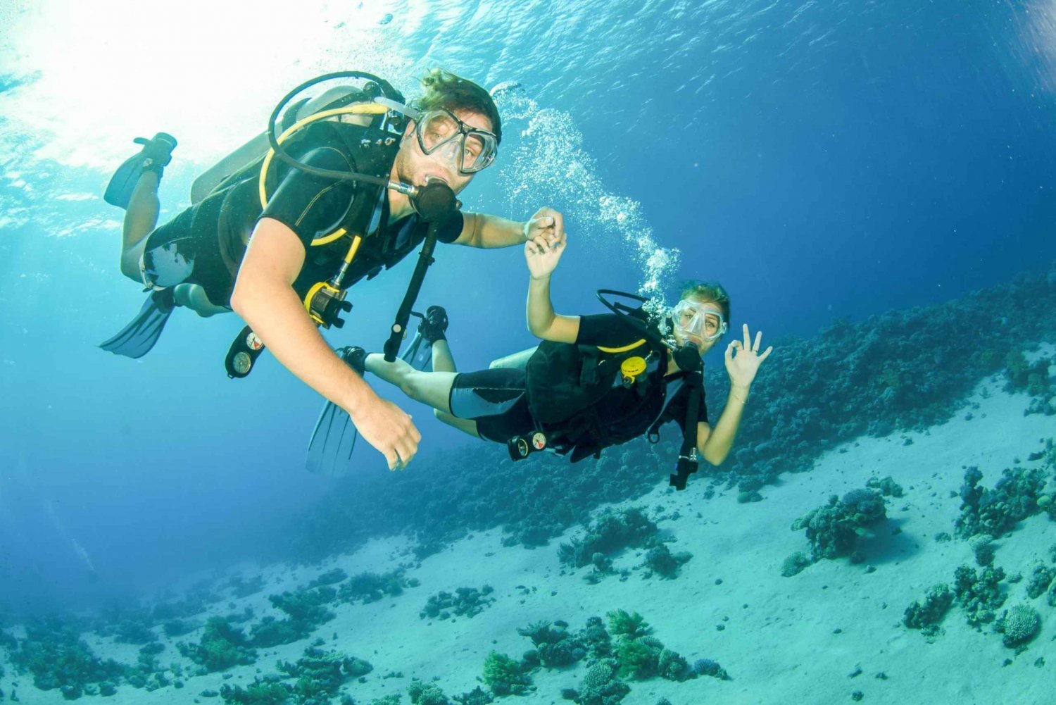 Fra Dubai: Halvdagstur til Fujairah med dykning og snorkling