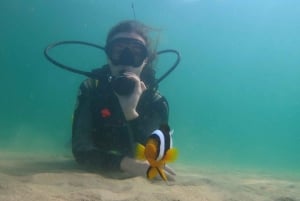From Dubai: Fujairah Scuba Dive and Snorkeling