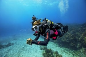 From Dubai: 2 Dives for certified divers in Fujairah