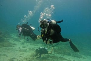 Från Dubai: Fujairah Scuba Experience för certifierade dykare