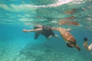 From Dubai: Fujairah Sea Turtles Snorkeling Tour with Lunch