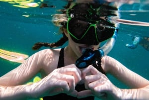 From Dubai: Fujairah Snorkeling with Turtles, Transfer & BBQ