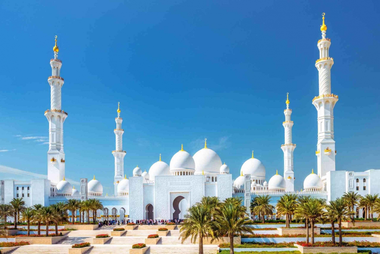 Da Dubai: Tour panoramico della Grande Moschea e della città di Abu Dhabi