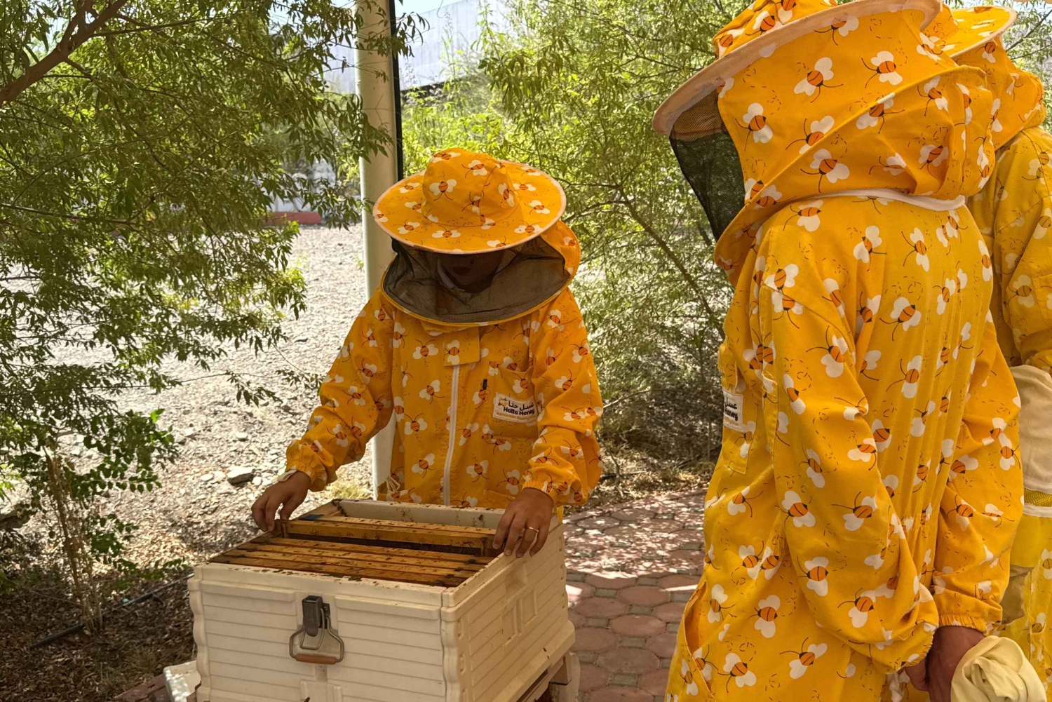 Au départ de Dubaï : Visite de Hatta avec kayak