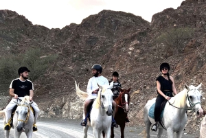 From Dubai: Hatta Sightseeing Tour with kayaking