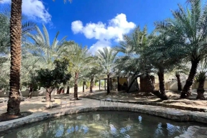 Au départ de Dubaï : Visite de Hatta avec kayak