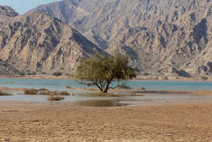 ドバイ発：ジャベル・ジェイス高山ツアー（送迎付き）