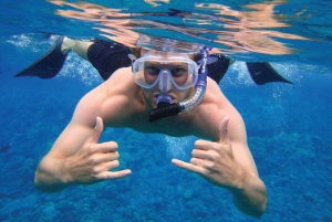 Dubai: Oman Cruise with Snorkeling, Lunch, & Hotel Transfers