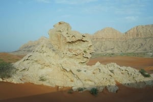 From Dubai: Private Dinner in the Dunes in Mleiha