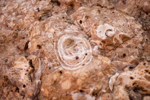 Из Дубая: частный ужин в дюнах Млейхи