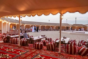 From Dubai: Red Dunes and Camel Safari with Overnight Camp