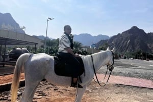Desde Dubai/Sharjah: Hatta Wadi Hub Tour Privado de un Día
