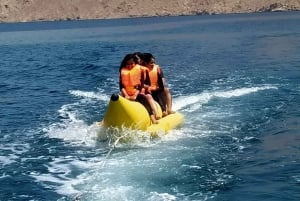 From Dubai/Sharjah/RAK: Dibba Musandam Trip & Dhow Cruise