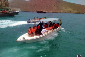 From Dubai/Sharjah/RAK: Dibba Musandam Trip & Dhow Cruise