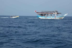 From Dubai/Sharjah/RAK: Dibba Musandam Trip & Dhow Cruise