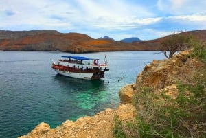From Dubai/Sharjah/RAK: Dibba Musandam Trip & Dhow Cruise