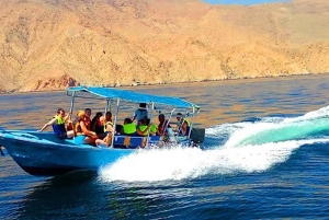 Z Dubaju-SHJ-Ajman-RAK: Wycieczka z nurkowaniem w Dibba Musandam