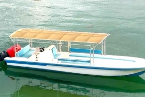 Z Dubaju-SHJ-Ajman-RAK: Wycieczka z nurkowaniem w Dibba Musandam