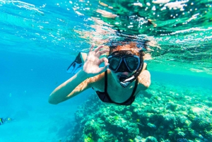 From Dubai: Snorkeling Trip to Fujairan