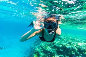 De viagem de mergulho com snorkel para Fujairan