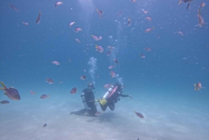 Dubai: Sukellus, snorklaus, grillateria ja kuljetus