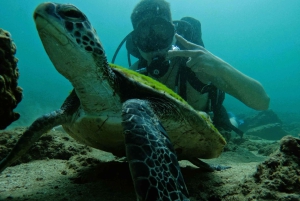 Dubai: Sukellus, snorklaus, grillateria ja kuljetus