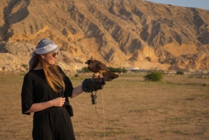 A partir de Dubai: Experiência Zerzura Buggy + Jantar Privado