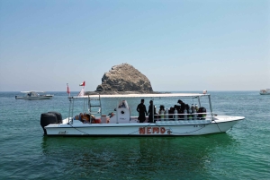 Fujairah: 2 divertenti esperienze di immersione per subacquei certificati