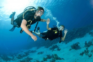 Fujairah: 2-Tank Diving Experience