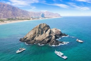 Dubai till Fujairah: Första dykning + transfer och grillfest