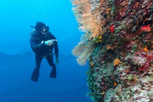 Fujairah: Discover Scuba Diving for Beginners