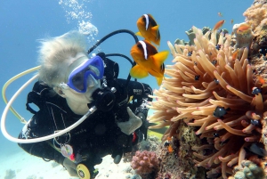 Fujairah: Discover Scuba Diving for Beginners