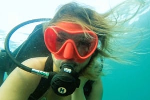 Fujairah: Scuba Diving Experience with BBQ Lunch & Transfer