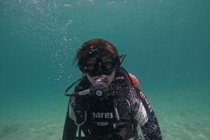 Fujairah: Esperienza di immersione subacquea con pranzo BBQ e trasferimento