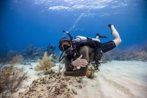 Try Scuba Diving and Snorkeling with transfer and BBQ lunch