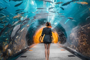 Full Day City Tour With Burj Khalifa & Underwater Zoo Ticket