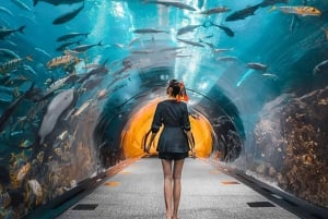 ドバイ：ブルジュ・ハリファと水中動物園のチケット付き市内ツアー