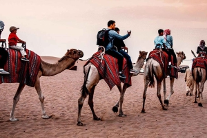 Golden Sands & Glamour: Hummer-Safari mit Fotoshooting