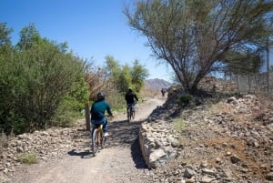 Hatta Adventure: Private Group Tour