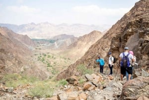 Hatta Adventure: Private Group Tour