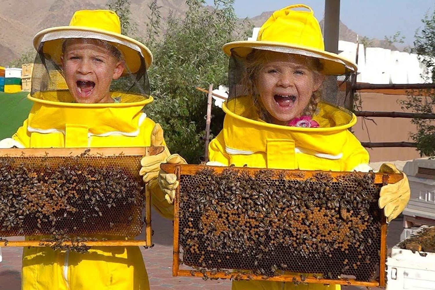 Hatta Discovery: onbeperkt kajakken en honingbijavontuur