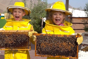 Hatta Discovery: onbeperkt kajakken en honingbijavontuur