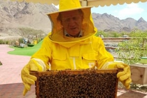 Safari di Hatta e visita al giardino delle api