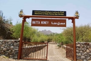 Safari à Hatta et visite du jardin des abeilles