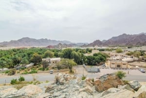 Hatta Safari & Honey Bee Garden Visit