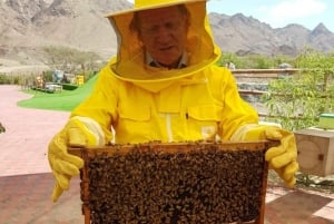 Hatta Safari & Honey Bee Garden Visit