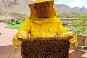 Hatta Safari & Honey Bee Garden Visit