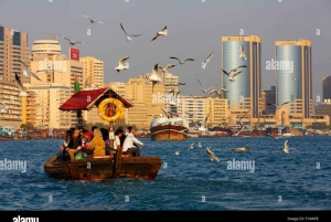 Dubai: Stadens höjdpunkter Privat layover-tur med transfer
